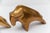 Mid-Century Modern Brass Bull Bookends, 1960s, Set of 2 For Sale - Image 11 of 14