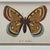 French Vintage Le P. Apollon Butterfly Natural History Print French Entomology For Sale - Image 3 of 7
