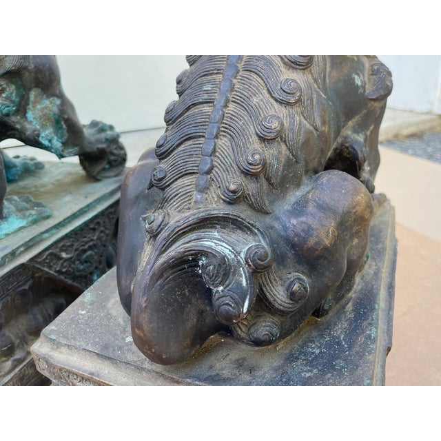 Antique Bronze Guardian Lions or Foo Dogs - A Pair For Sale - Image 17 of 17