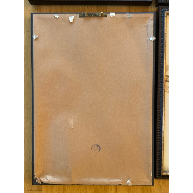 Vintage Emery Whilton Herbarium Botanical Prints - A Set of 4 For Sale - Image 11 of 11