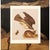 Paper 1966 Vintage Cottage Print "Swaison's Hawk, Marsh Hare & Horned Agarma" After John James Audubon For Sale - Image 7 of 8