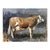Contemporary Matthew Paoletti "How Now" Contemporary Naturalistic Rural Animal Painting of a Brown Cow, 2022 For Sale - Image 3 of 10
