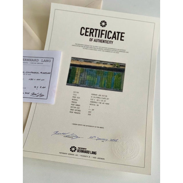 Not Yet Made - Made To Order "AV_California_Plants_007" Contemporary Limited Edition Fine Art Photograph by Bernhard Lang For Sale - Image 5 of 5