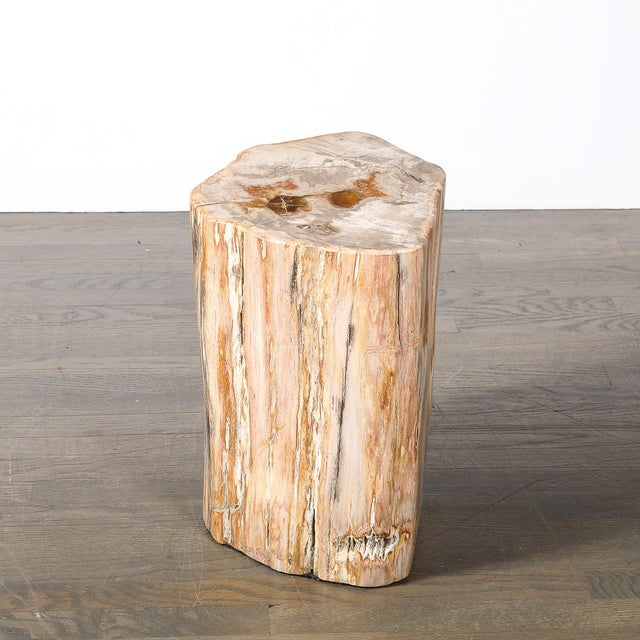 Stone Polished Petrified Wood Side Table/Stool W/ Agate Inclusions & Natural Graining For Sale - Image 7 of 10
