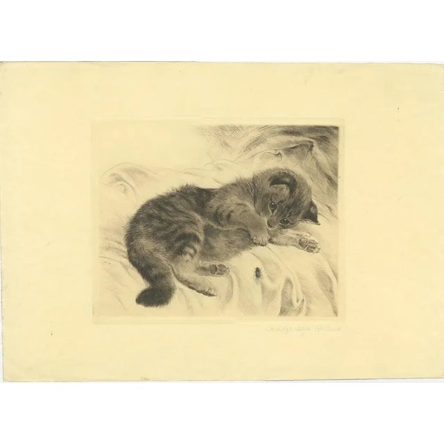 After Kurt Meyer-Eberhardt, Kitten, 1977, Etching For Sale - Image 4 of 4