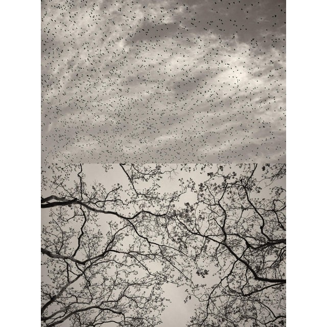 Gaia Diptych #127by Jaume Llorens Bach is a 18cm x 24cm Black and White print on Premio Kozo gsm White Paper by Awagami...