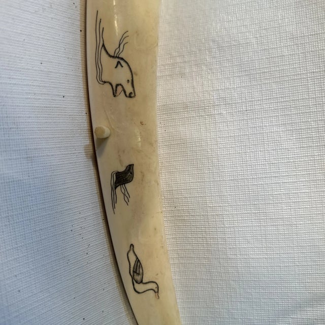 Old Walrus Tusk Scrimshaw Cribbage Board For Sale In New York - Image 6 of 11