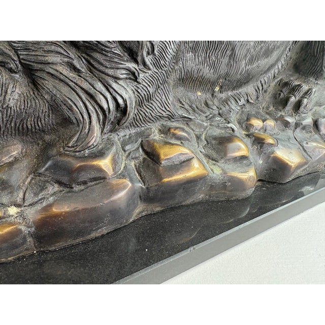 Mid 20th Century Grand Tour Italian Bronze Lion Sculpture For Sale - Image 10 of 12