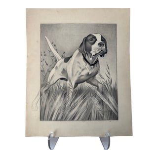 1940s Original Signed Graphite Illustration of Pointer Hunting Dog, 12 × 10 In. For Sale