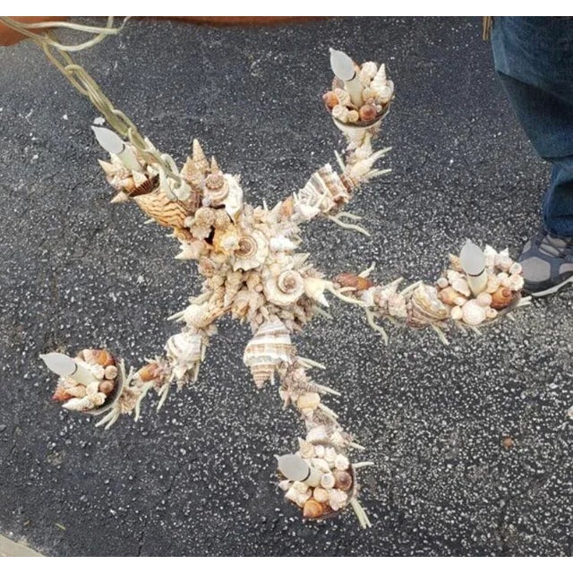 Alabaster Nautical Natural Sea Shell Chandelier For Sale - Image 8 of 9
