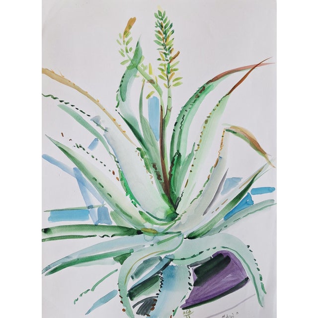 Early 21st Century Agapi Wieruszewska, Crete: Aloe Vera: Motives from Greece, Watercolour on Paper, 2024 For Sale - Image 5 of 5