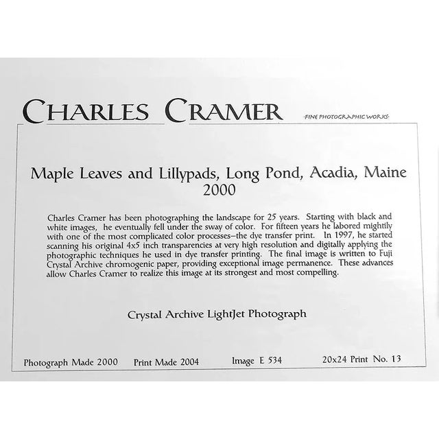 Contemporary "Maple Leaves and Lillypads, Long Pond, Acadia, Maine 2000" Pond Scene Numbered Photograph Print by Charles Cramer For Sale - Image 3 of 3