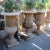 1920s Colonial Indian Sandstone Urn Planter For Sale - Image 4 of 5