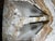 Metal 1970s Paris Flea Market, Art Deco Brass Sconces With Detailed Glass - Pair For Sale - Image 7 of 12