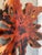 Vintage Live Edge Resin-Filled Cypress Coffee Table For Sale - Image 10 of 10