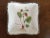 Early 19th Century 1810 Creamware Pearlware Botanical Square Dish with Hand Painted Strawberry Specimen For Sale - Image 5 of 11