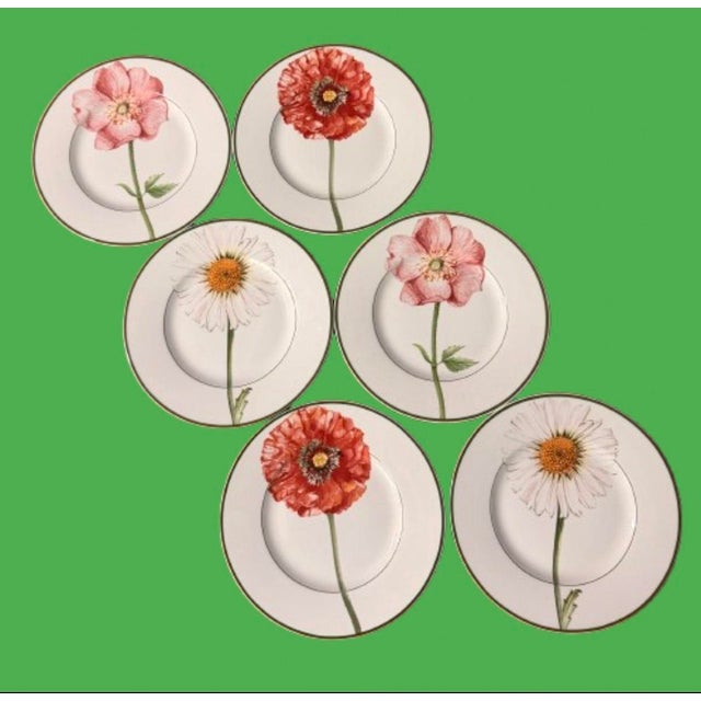 Multi flower motif by Villeroy & Boch. Gorgeous blossoms a set of 6 plates consisting of 2 of each flowers. Circa 2002...