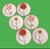 Multi flower motif by Villeroy & Boch. Gorgeous blossoms a set of 6 plates consisting of 2 of each flowers. Circa 2002...