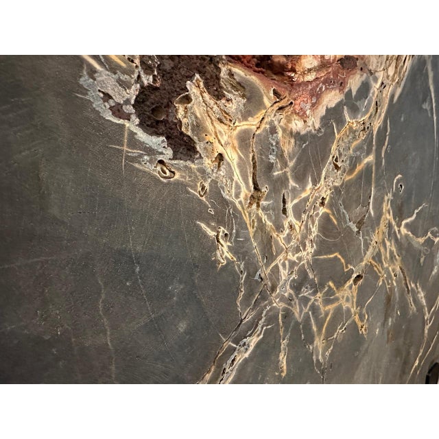 2010s Andrianna Shamaris High Quality Petrified Wood Sculpture or Coffee Table For Sale - Image 5 of 18