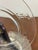 Mid-Century Modern Vintage Pressed Glass Salad or Dessert Plates - Set of 7 For Sale - Image 3 of 11