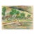 1940s Grace Spongberg Hawaiian Drawing For Sale