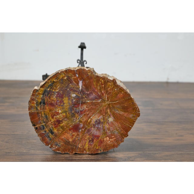 Early 20th Century Turn of the Century French Side Table - Petrified Wood Top and Wrought Iron Base For Sale - Image 12 of 12
