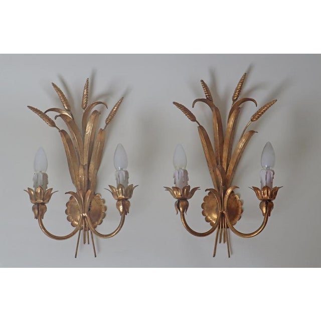 Hollywood Regency Golden Wall Lamp with Wheat Ears from Hans Kögl, 1960s, Set of 2 For Sale - Image 10 of 12