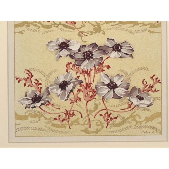 Beaux-Arts C1900 Art Nouveau Botanical Design Chromolithograph-Nasturtium, Matted For Sale - Image 3 of 5