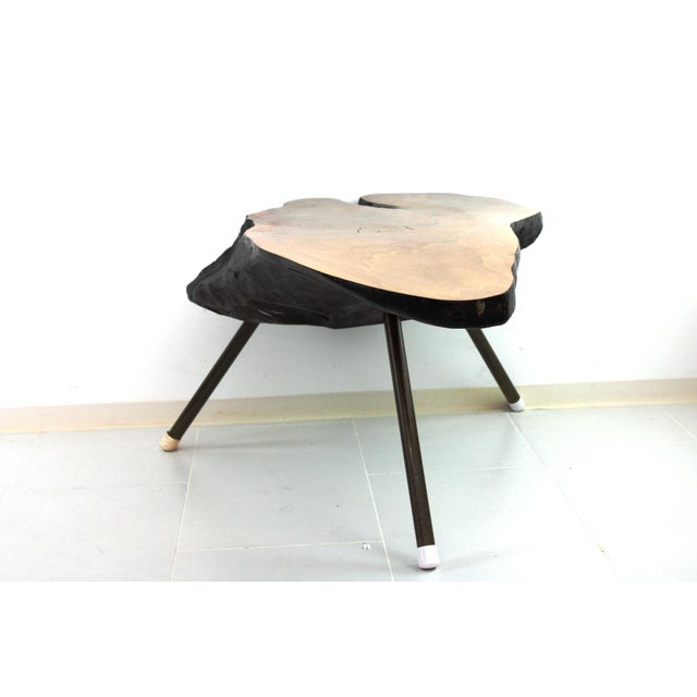 Tree Trunk Table by Carl Auböck, 1950s For Sale - Image 16 of 18