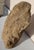 Large Petrified Wood Log For Sale - Image 13 of 13