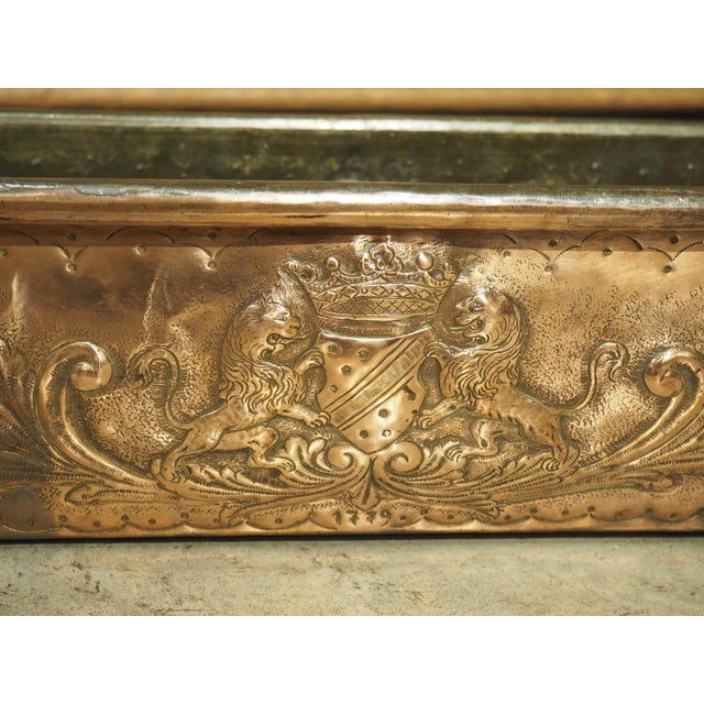 Large 19th Century French Copper Fish Poacher Poissonnière by L. Tendrerie Paris For Sale - Image 16 of 18