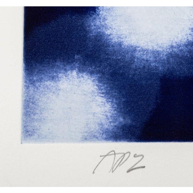 Contemporary Ross Bleckner "Chaperone" Etching and Aquatint For Sale - Image 3 of 8