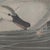 Black John James Audubon Art Print - Trumpeter Swan For Sale - Image 8 of 10