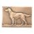 1930s Signed French Dog Medal: Bronze Showing a Setter/Retreiver For Sale