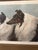 Early 20th Century 1901 Maud Earl “Four by Honours” Large Framed Collie Dog Print For Sale - Image 5 of 15