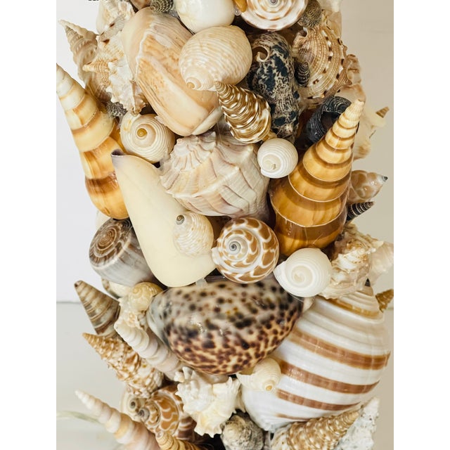 1970s Natures Beauty Sea Shells Encrusted Pair Table Lamps - a Pair For Sale - Image 4 of 5