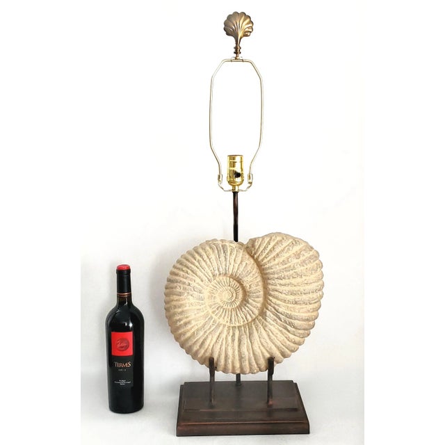 Beige Lamp Plaster Seashell Shell Ammonite Large For Sale - Image 8 of 13