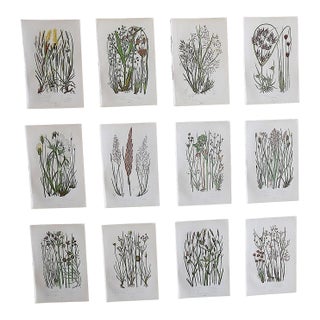 Antique 19th Century Botanical Lithographs - Set of 12 For Sale