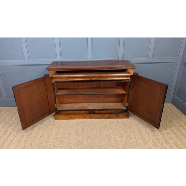 Regency Rosewood Side Cabinet, 1820 For Sale - Image 6 of 18