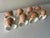 Vintage Bone China Seashell Napkin Rings - Set of 8 For Sale - Image 9 of 11