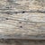 Vintage Rustic Reclaimed Elm Wood Low Bench For Sale - Image 9 of 12