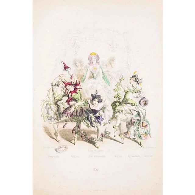 Image dimensions: 24.3 x 17.5 cm. Single sheet with passepartout. ''Delighted at finding themselves again united, after...