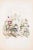 Image dimensions: 24.3 x 17.5 cm. Single sheet with passepartout. ''Delighted at finding themselves again united, after...