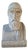 French School Artist, Bust of Aesculapius, 19th Century, Stone For Sale