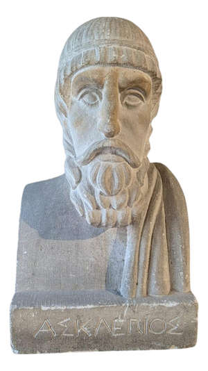 French School Artist, Bust of Aesculapius, 19th Century, Stone