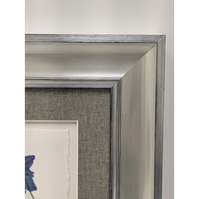2020s Framed Pair of Pressed Blue Delphinium Flowers For Sale - Image 5 of 9