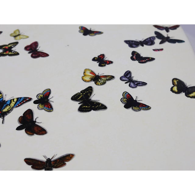 Large Round Butterfly Dining Table by Piero Fornasetti, Italy, 1960s For Sale - Image 10 of 12