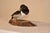 Rustic Canvasback Duck Mounted on Live Edge Wood For Sale - Image 3 of 7