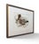 Silent Convergence is an original abstract composition exploring the relationship between gesture, transparency, and...