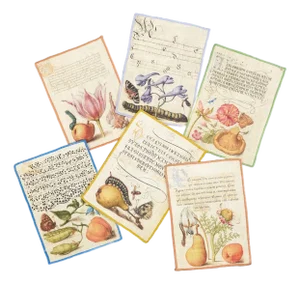 Botanical Cocktail Napkins, Set of 6